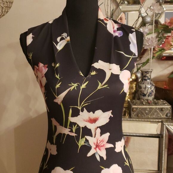 TED Baker London Gorgeous Dress Size 1 (XS-S) NWOT - Picture 2 of 8